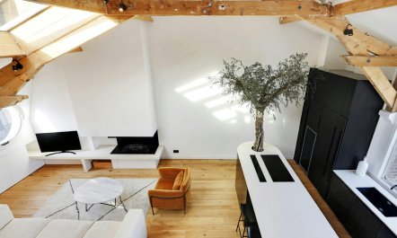 Old Parisian Jewel 4