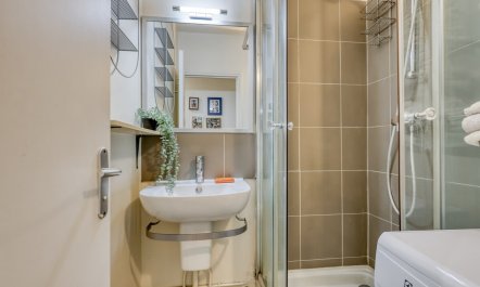 Elegant Parisian Dwelling 9