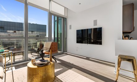 Chicago's Gemstone 6