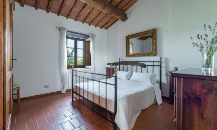 Vineyard Valley View 5