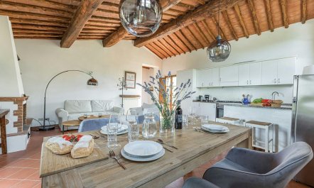 Vineyard Valley View 4