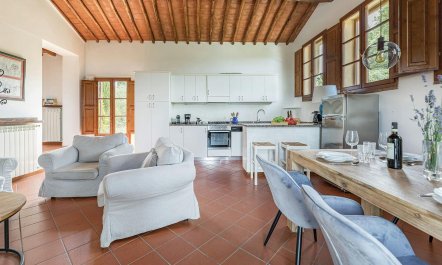 Vineyard Valley View 1