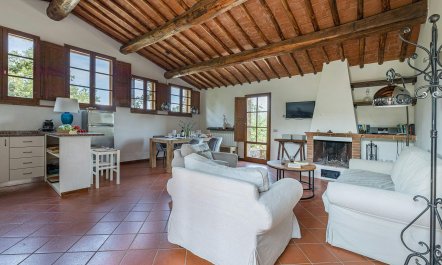 Vineyard Valley View 2