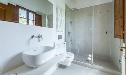 Vineyard Valley View 7