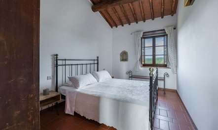 Vineyard Valley View 8