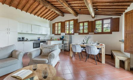 Vineyard Valley View 3