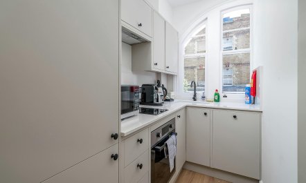 The Modern Londoner 1