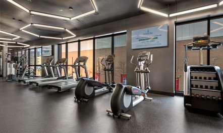 The Windy City Retreat 5