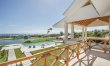 Dominican Breeze 7