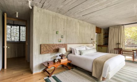 Urban Condesa Oasis 9