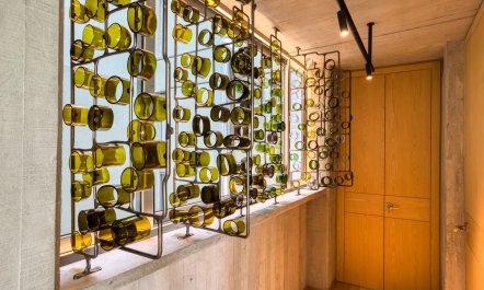 Urban Condesa Oasis 7