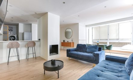 Elegant Parisian Avenue 2