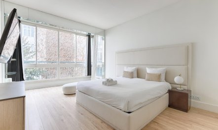 Elegant Parisian Avenue 1