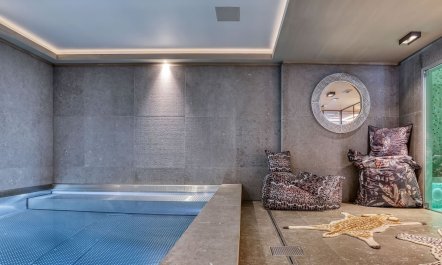 Alpine Chateau 3
