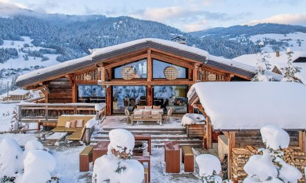 Alpine Chateau