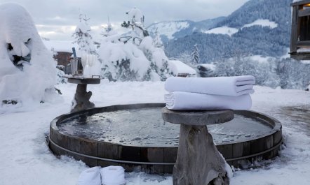 Alpine Chateau 2