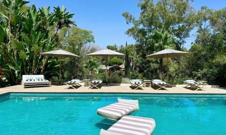 Jewel of Andalusia 1