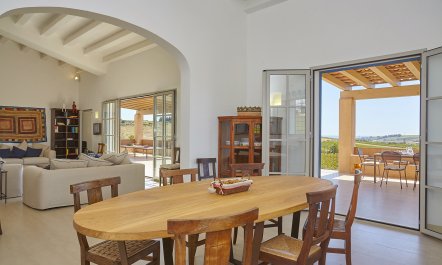 Sunset Over Vineyards 4