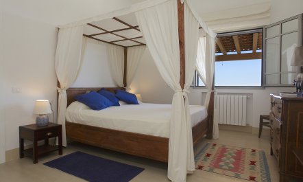 Sunset Over Vineyards 8