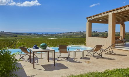 Sunset Over Vineyards