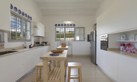 Sunset Over Vineyards 7