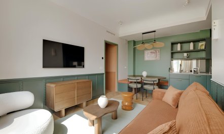 Over the Parisian Rooftops 5