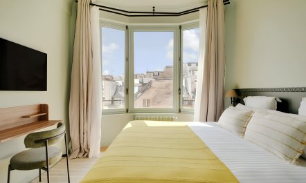 Over the Parisian Rooftops 1