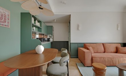 Over the Parisian Rooftops