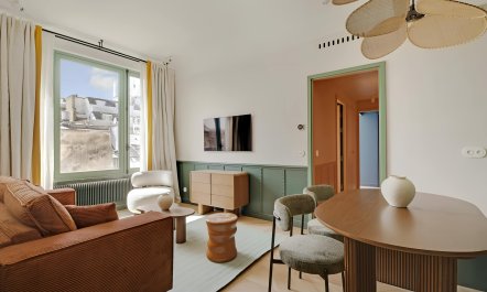 Over the Parisian Rooftops 4