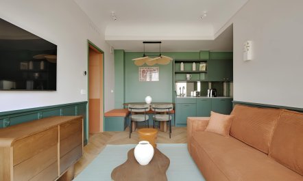 Over the Parisian Rooftops 2