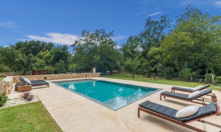 Where the Wildflowers Are 3