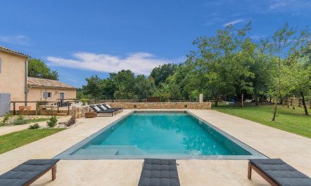 Where the Wildflowers Are 4