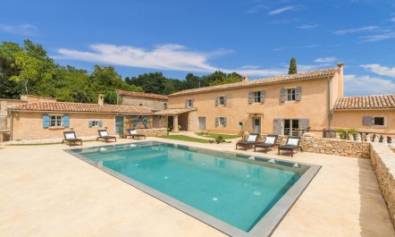 Where the Wildflowers Are