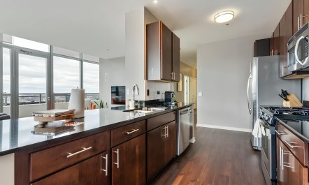 The Skyline's Vision 8