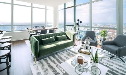 The Skyline's Vision 4