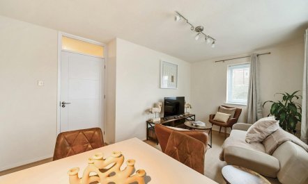 The Scholar's Retreat 5