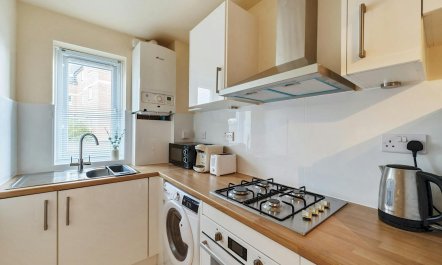 The Scholar's Retreat 8