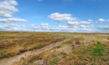 'Arisa' - 100m to the fjord 5