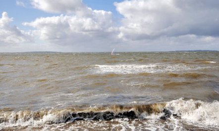 'Arisa' - 100m to the fjord 4