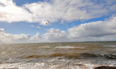 'Arisa' - 100m to the fjord 3