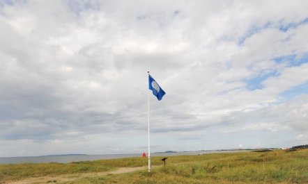 'Arisa' - 100m to the fjord 2