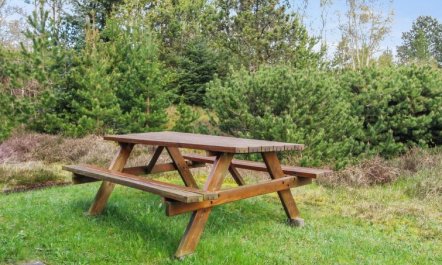 'Rufina' - 3.5km from the sea 6