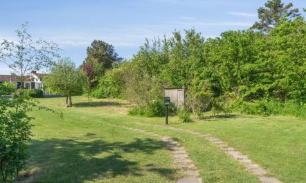 'Felis' - 75m from the sea 3