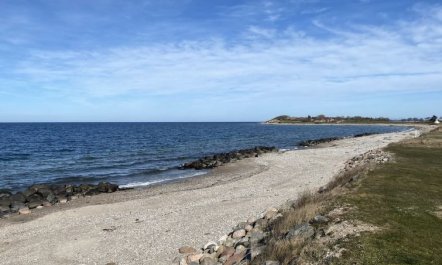 'Felis' - 75m from the sea 2