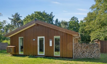 'Ovine' - 1.2km to the fjord 2