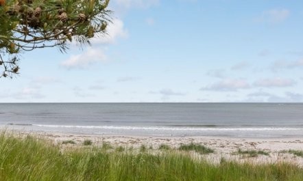 'Anemette' - 100m from the sea 7