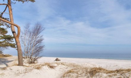 'Anemette' - 100m from the sea 4