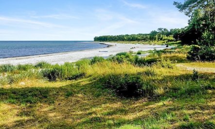 'Anemette' - 100m from the sea 2