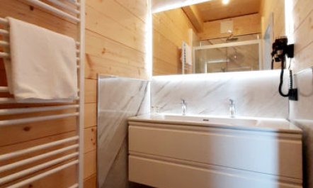 Haushälfte Alpenchalets 4