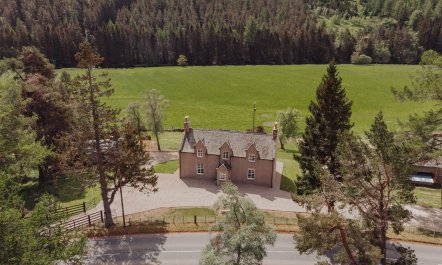 Hearthside Heather 0